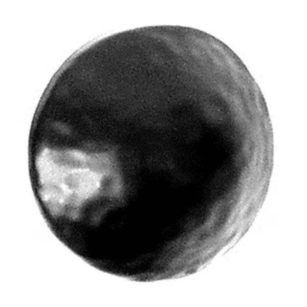 Acorn CL3BP Hand Forged Black Iron Clavos Round, Acorn Mfg, Mfr#: CL3BP
